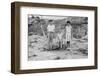Three Siblings Pose at Donner Pass on Vacation, Ca. 1938-null-Framed Photographic Print