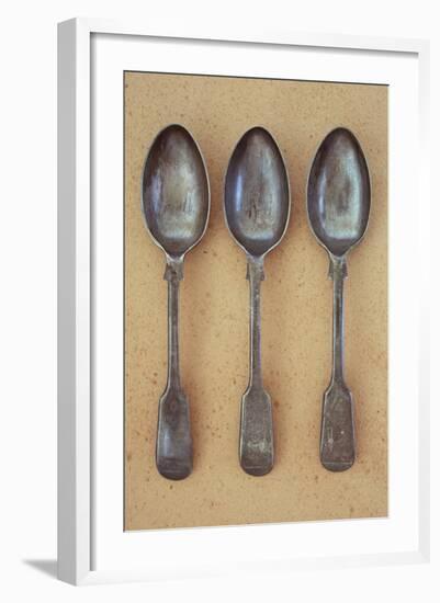 Three Silver Teaspoons-Den Reader-Framed Photographic Print