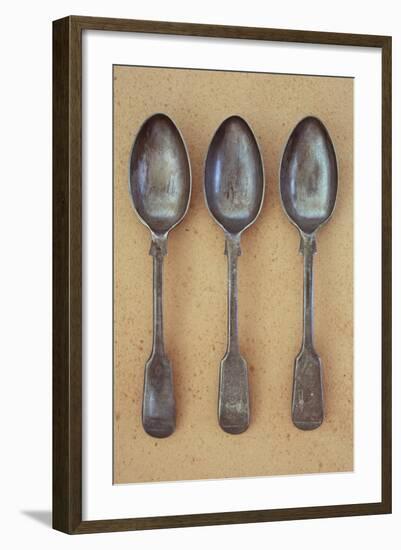 Three Silver Teaspoons-Den Reader-Framed Photographic Print