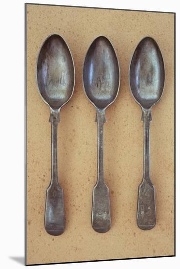 Three Silver Teaspoons-Den Reader-Mounted Photographic Print