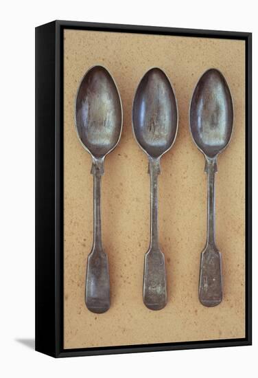 Three Silver Teaspoons-Den Reader-Framed Stretched Canvas