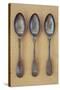 Three Silver Teaspoons-Den Reader-Stretched Canvas