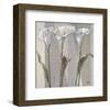 Three Sisters I-Karsten Kirchner-Framed Art Print