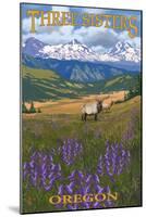 Three Sisters, Oregon - Elk and Flowers-Lantern Press-Mounted Art Print