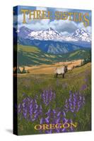 Three Sisters, Oregon - Elk and Flowers-Lantern Press-Stretched Canvas