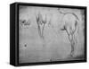 'Three Sketches of a Horse's Hind-Quarters and one of its Nostrils', c1480 (1945)-Leonardo Da Vinci-Framed Stretched Canvas