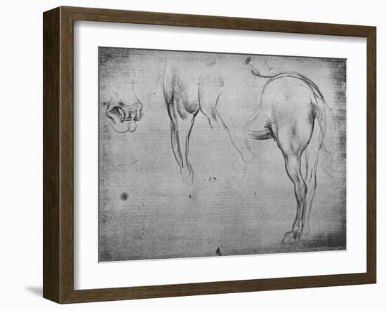 'Three Sketches of a Horse's Hind-Quarters and one of its Nostrils', c1480 (1945)-Leonardo Da Vinci-Framed Giclee Print