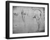 'Three Sketches of a Horse's Hind-Quarters and one of its Nostrils', c1480 (1945)-Leonardo Da Vinci-Framed Giclee Print