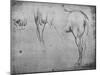 'Three Sketches of a Horse's Hind-Quarters and one of its Nostrils', c1480 (1945)-Leonardo Da Vinci-Mounted Giclee Print