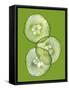 Three Slices of Cucumber on a Green Surface-Steven Morris-Framed Stretched Canvas