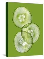 Three Slices of Cucumber on a Green Surface-Steven Morris-Stretched Canvas