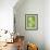 Three Slices of Cucumber on a Green Surface-Steven Morris-Framed Photographic Print displayed on a wall