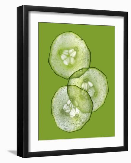 Three Slices of Cucumber on a Green Surface-Steven Morris-Framed Photographic Print