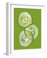 Three Slices of Cucumber on a Green Surface-Steven Morris-Framed Photographic Print