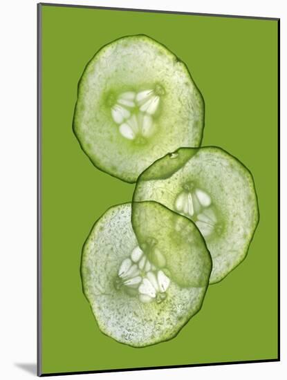 Three Slices of Cucumber on a Green Surface-Steven Morris-Mounted Photographic Print