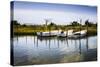 Three Small Boats II-Alan Hausenflock-Stretched Canvas