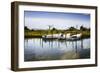 Three Small Boats II-Alan Hausenflock-Framed Photographic Print