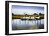 Three Small Boats II-Alan Hausenflock-Framed Photographic Print