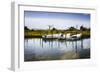 Three Small Boats II-Alan Hausenflock-Framed Photographic Print