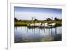 Three Small Boats II-Alan Hausenflock-Framed Photographic Print