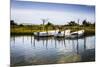 Three Small Boats II-Alan Hausenflock-Mounted Photographic Print