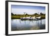 Three Small Boats II-Alan Hausenflock-Framed Photographic Print