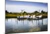 Three Small Boats II-Alan Hausenflock-Mounted Photographic Print