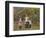 Three Smocked Youngsters Blow Bubbles from a Dish of Soap Suds-Helen Allingham-Framed Photographic Print