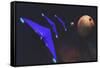 Three Spaceships from Earth Travel to a Planet Near the Crab Nebula-null-Framed Stretched Canvas