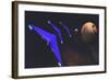 Three Spaceships from Earth Travel to a Planet Near the Crab Nebula-null-Framed Art Print