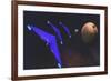 Three Spaceships from Earth Travel to a Planet Near the Crab Nebula-null-Framed Art Print