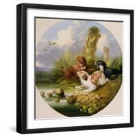 Three Spaniels Flushing Mallard-George Armfield-Framed Giclee Print