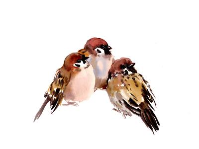 https://imgc.allpostersimages.com/img/posters/three-sparrows_u-L-F9JR1A0.jpg?artPerspective=n