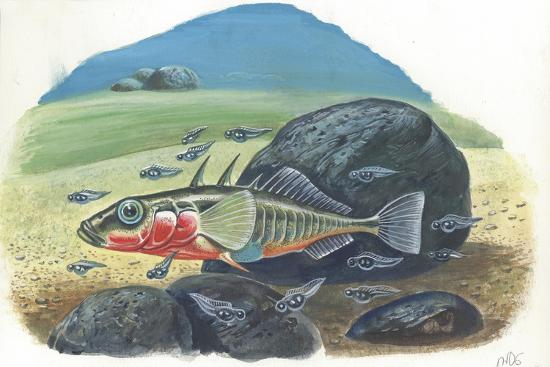 Giclee Print, , large