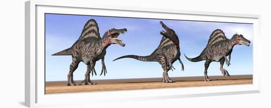 Three Spinosaurus Dinosaurs Standing in the Desert-null-Framed Premium Giclee Print