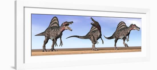 Three Spinosaurus Dinosaurs Standing in the Desert-null-Framed Art Print