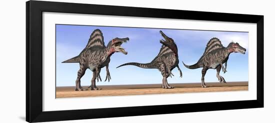 Three Spinosaurus Dinosaurs Standing in the Desert-null-Framed Art Print