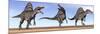 Three Spinosaurus Dinosaurs Standing in the Desert-null-Mounted Art Print
