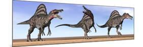 Three Spinosaurus Dinosaurs Standing in the Desert-null-Mounted Art Print