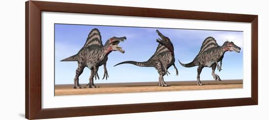 Three Spinosaurus Dinosaurs Standing in the Desert-null-Framed Art Print