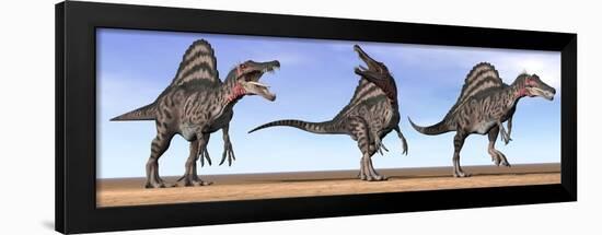 Three Spinosaurus Dinosaurs Standing in the Desert-null-Framed Art Print