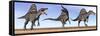 Three Spinosaurus Dinosaurs Standing in the Desert-null-Framed Stretched Canvas