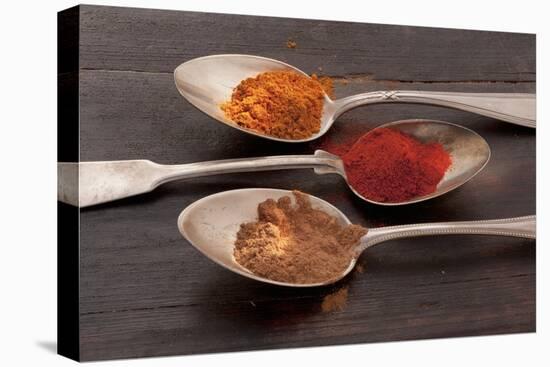 Three Spoons of Different Types of Spices-Eising Studio - Food Photo and Video-Stretched Canvas