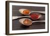 Three Spoons of Different Types of Spices-Eising Studio - Food Photo and Video-Framed Photographic Print