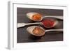 Three Spoons of Different Types of Spices-Eising Studio - Food Photo and Video-Framed Photographic Print