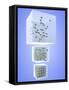 Three States of Matter: Solid Liquid Gas-PASIEKA-Framed Stretched Canvas