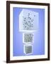 Three States of Matter: Solid Liquid Gas-PASIEKA-Framed Photographic Print