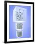 Three States of Matter: Solid Liquid Gas-PASIEKA-Framed Photographic Print