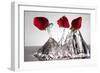 Three Stawberries FreshSplash-Steve Gadomski-Framed Photographic Print