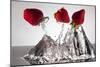 Three Stawberries FreshSplash-Steve Gadomski-Mounted Photographic Print